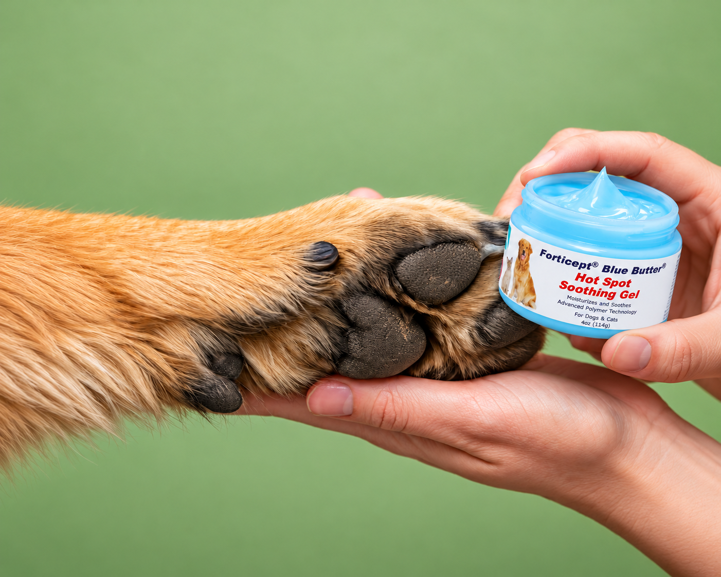 Dry, Cracked Dog Paws: How to Care for Paw Pads and Choose the Right Product 