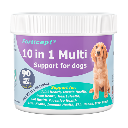 10 in 1 Dog Multivitamin Supplement