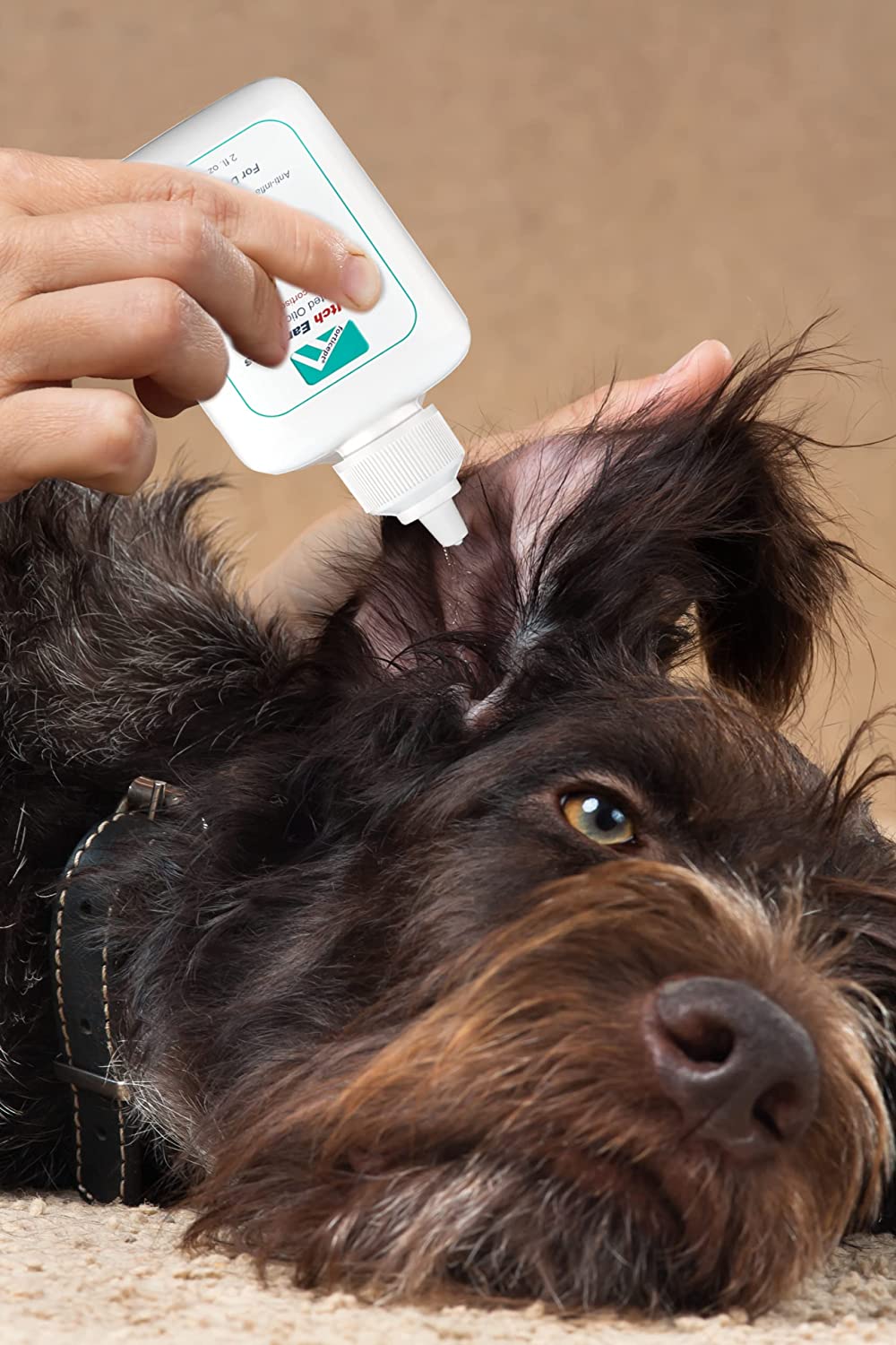 Dog Ear Treatment Kit