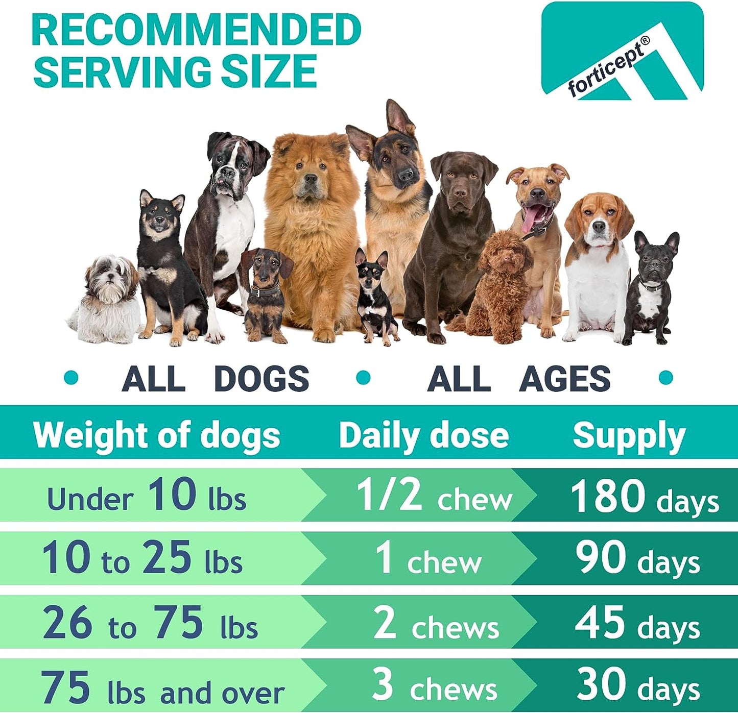 Hip and Joint Supplement for Dogs